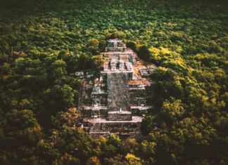 The Newly Discovered Mayan Pyramids