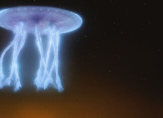 Could UFOs Be Biological Entities?