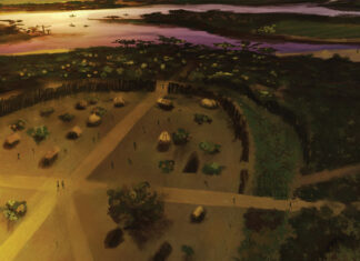The Lost Cities of the Amazon Rainforest