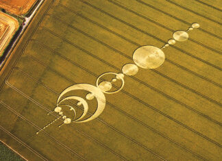 The Secrets of Crop Circles