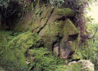 Harakbut: The Mysterious Human Face of the Amazon