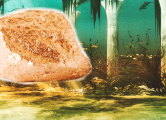 Orichalcum: The Legendary Metal of Atlantis